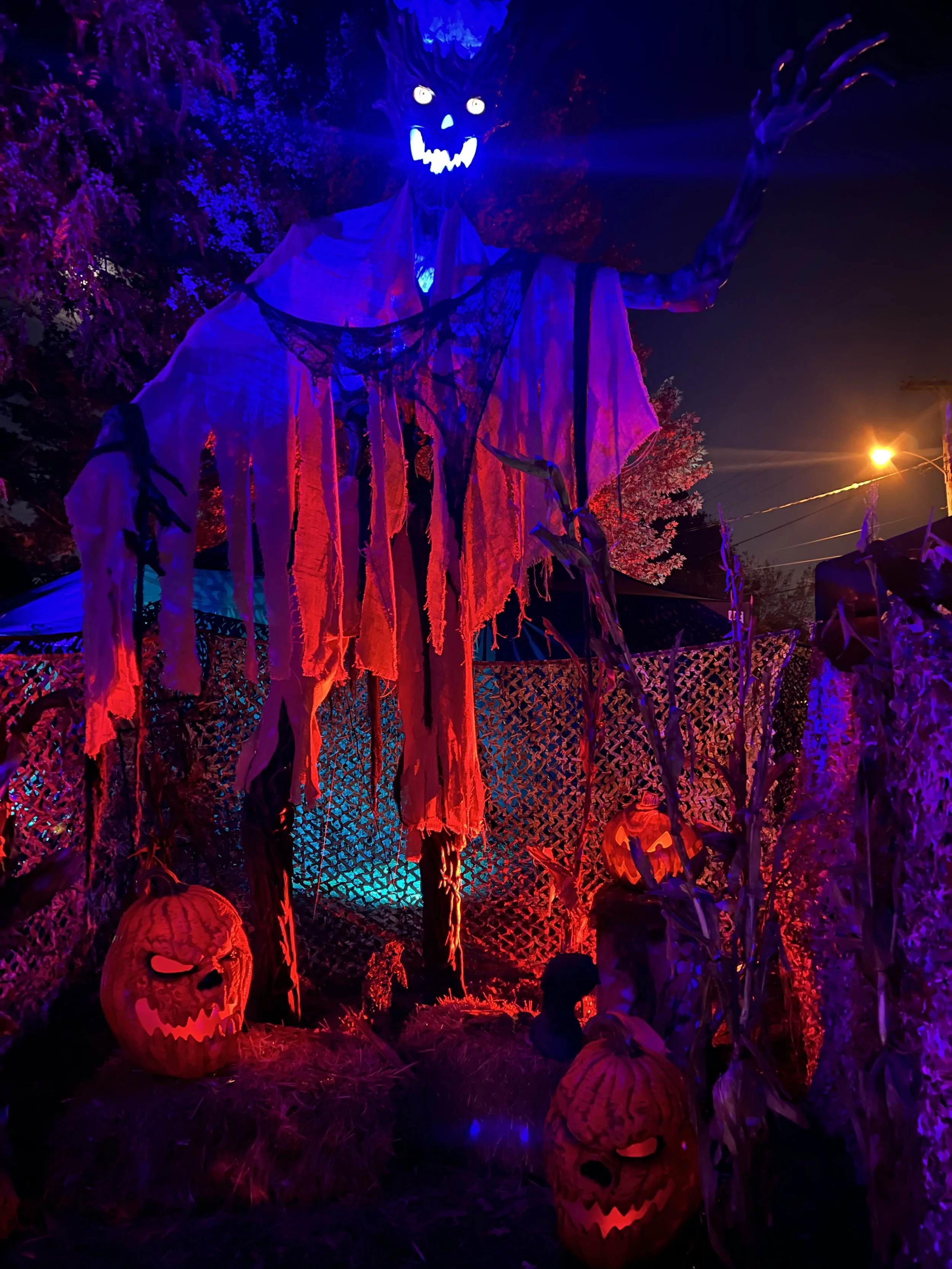 2024-10-19 22.00.26.jpg