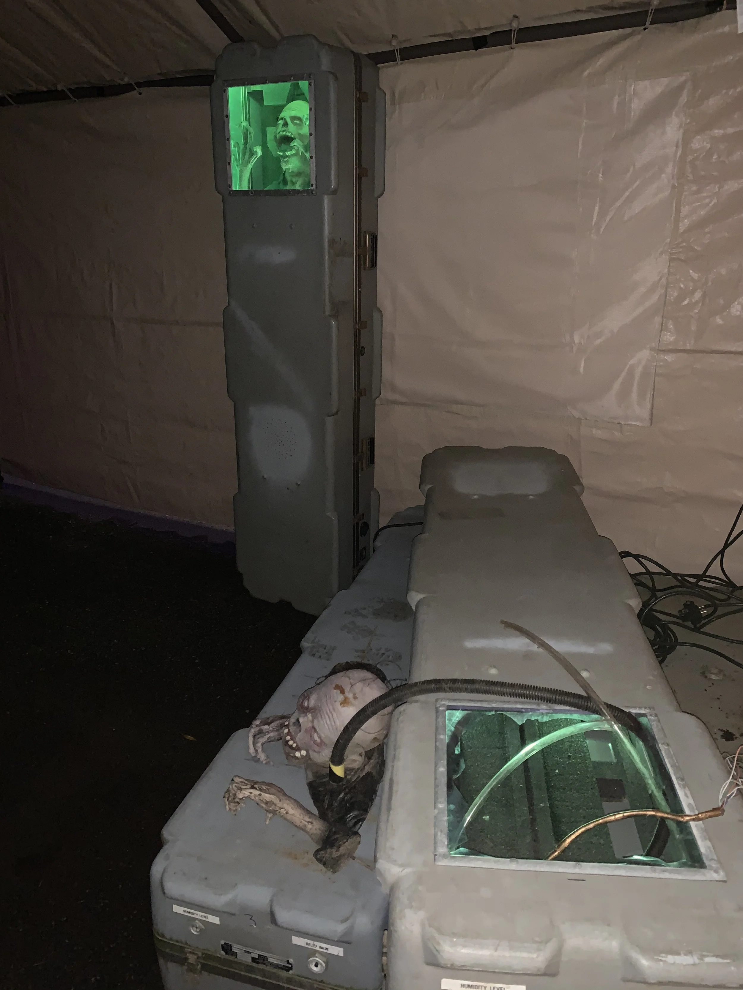 2019-10-19 19.36.07.jpg