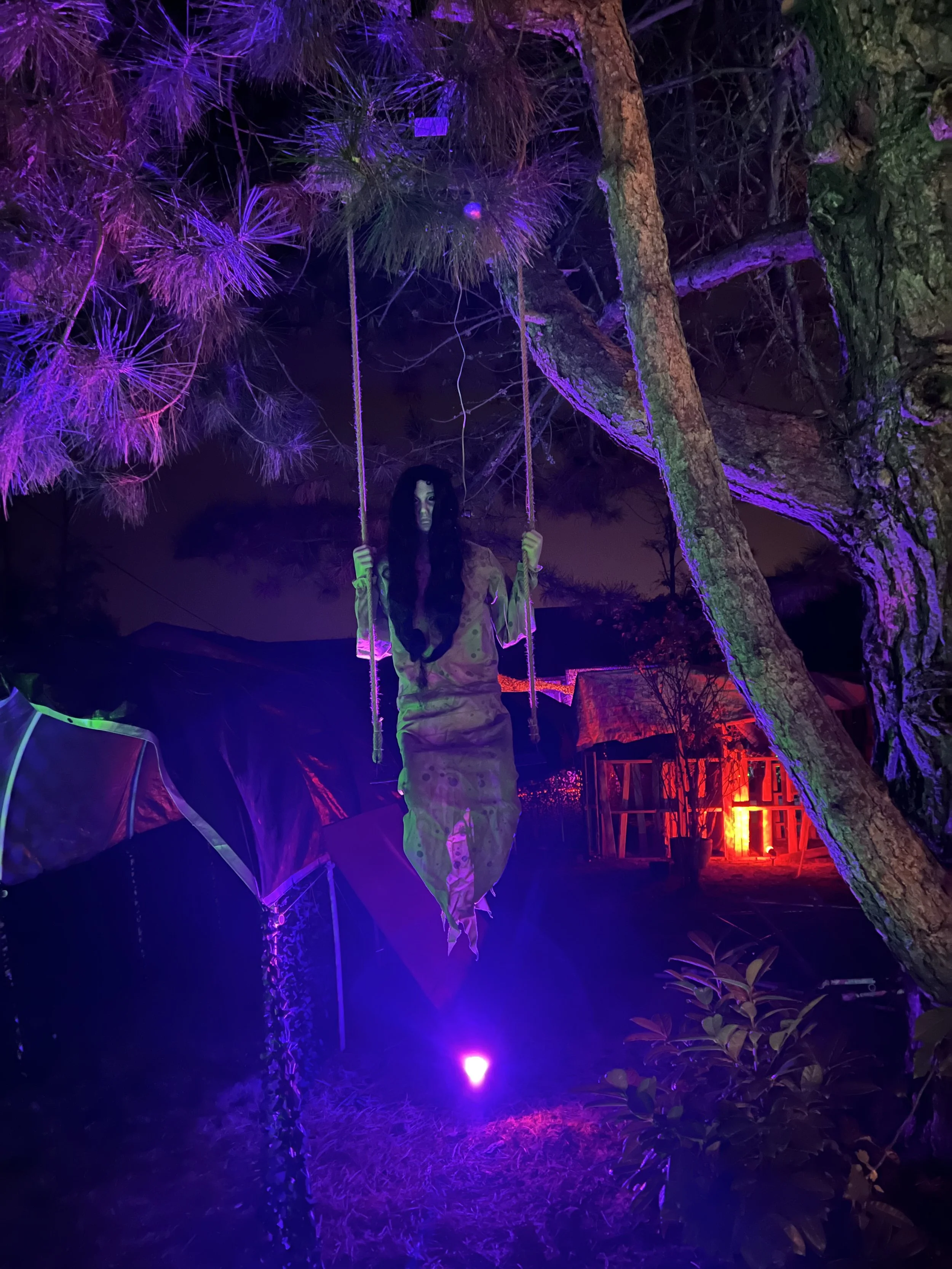 2022-10-19 20.46.36.jpg