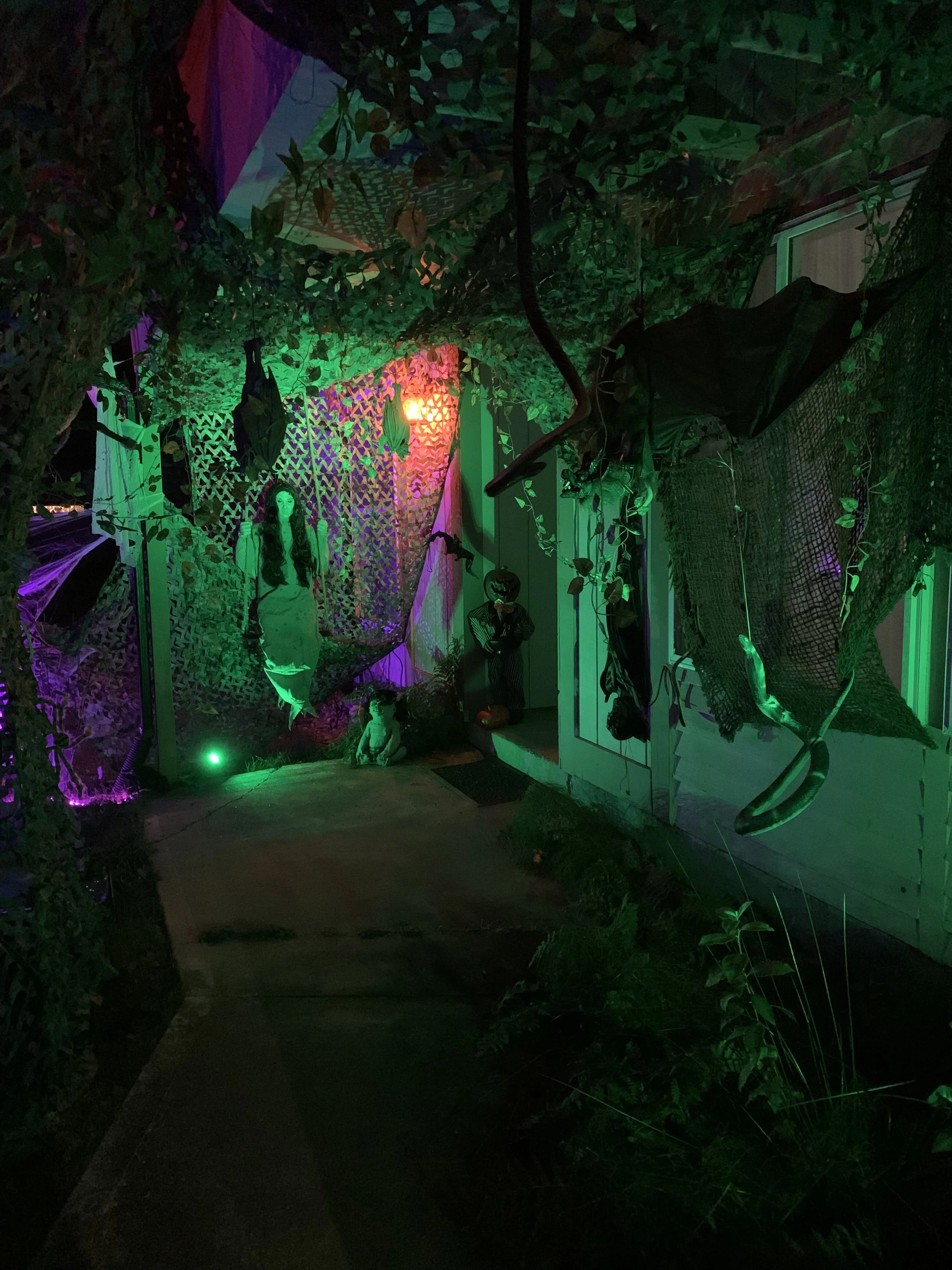 2021-10-15 21.33.03.jpg