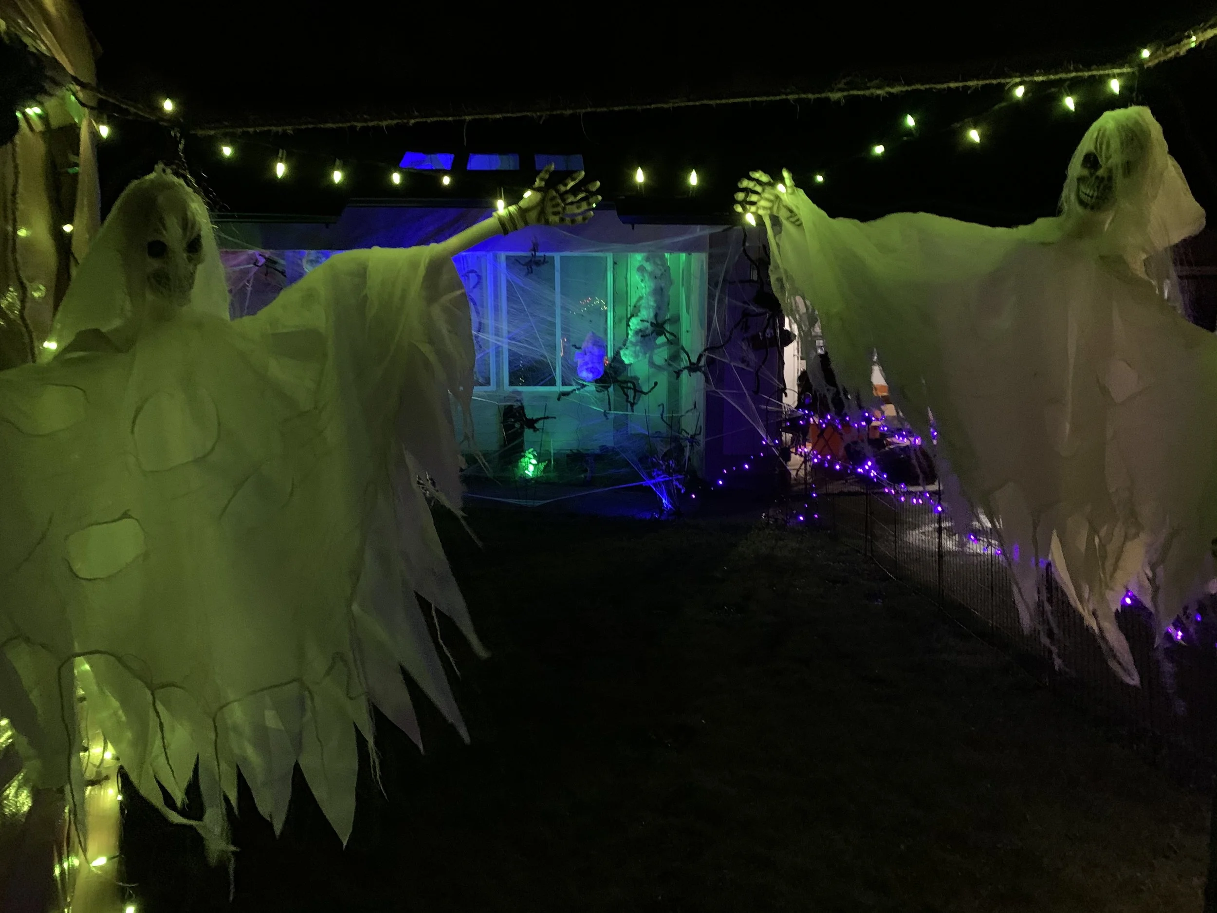 2020-10-10 19.56.25.jpg