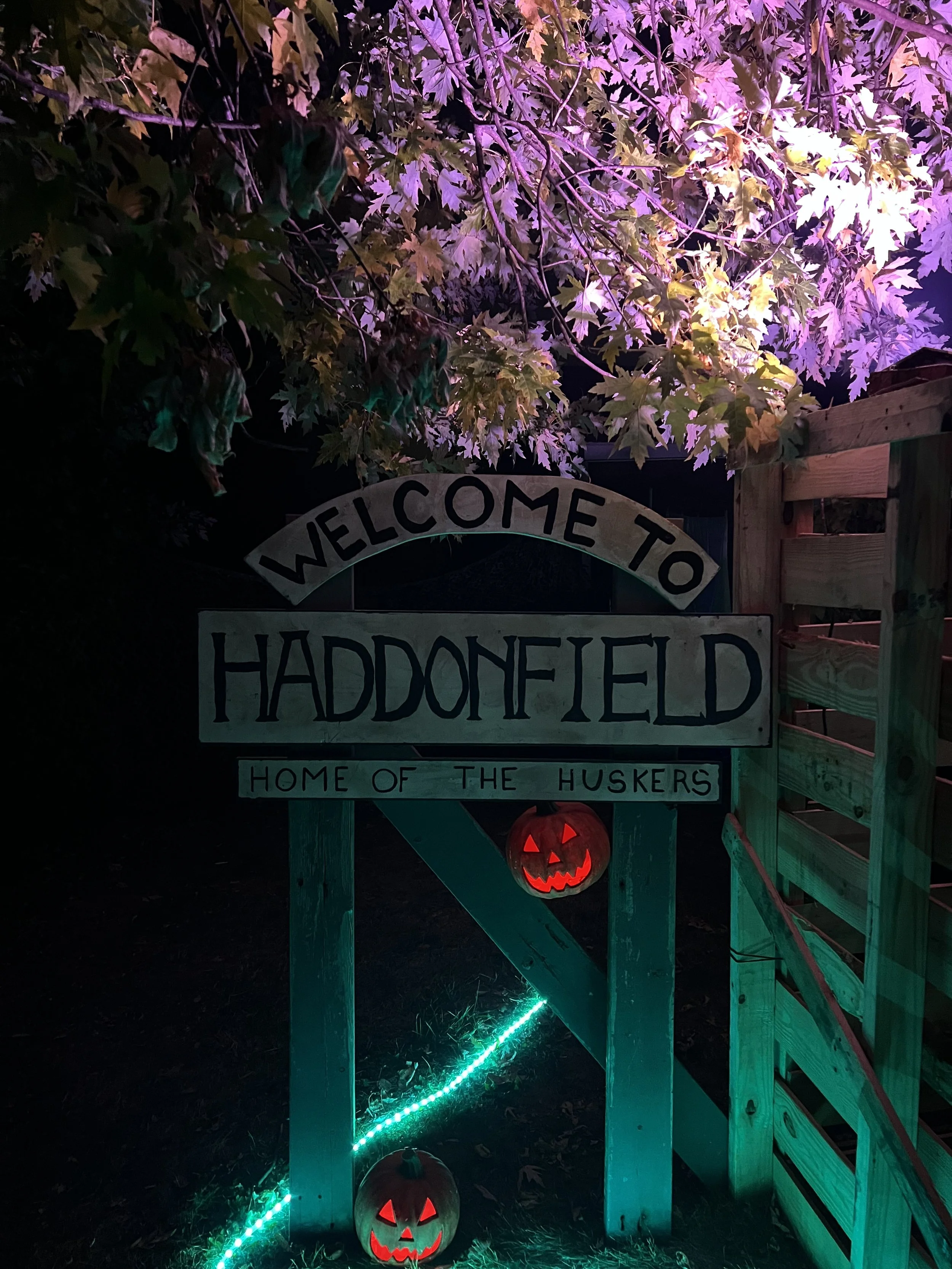 2024-10-18 20.43.20.jpg