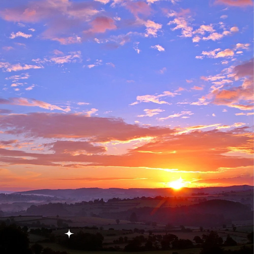 How to Practice Gratitude Daily