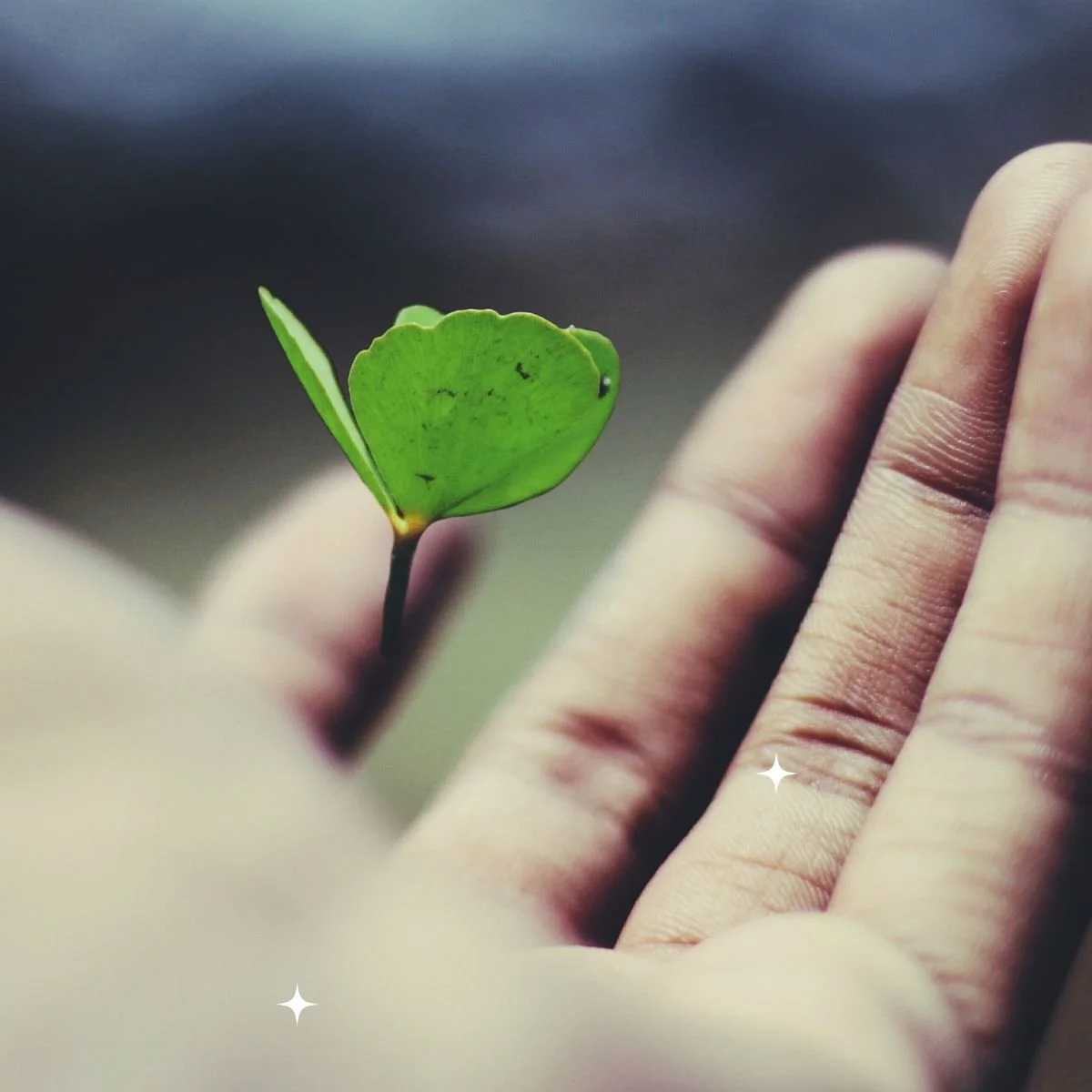 Addiction Recovery Meditation