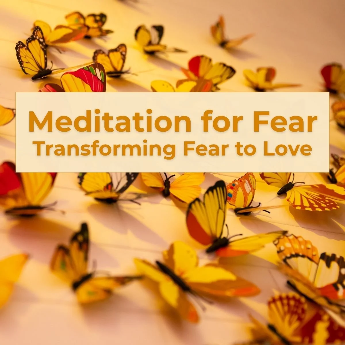 Meditation for Fear: Transforming Fear to Love