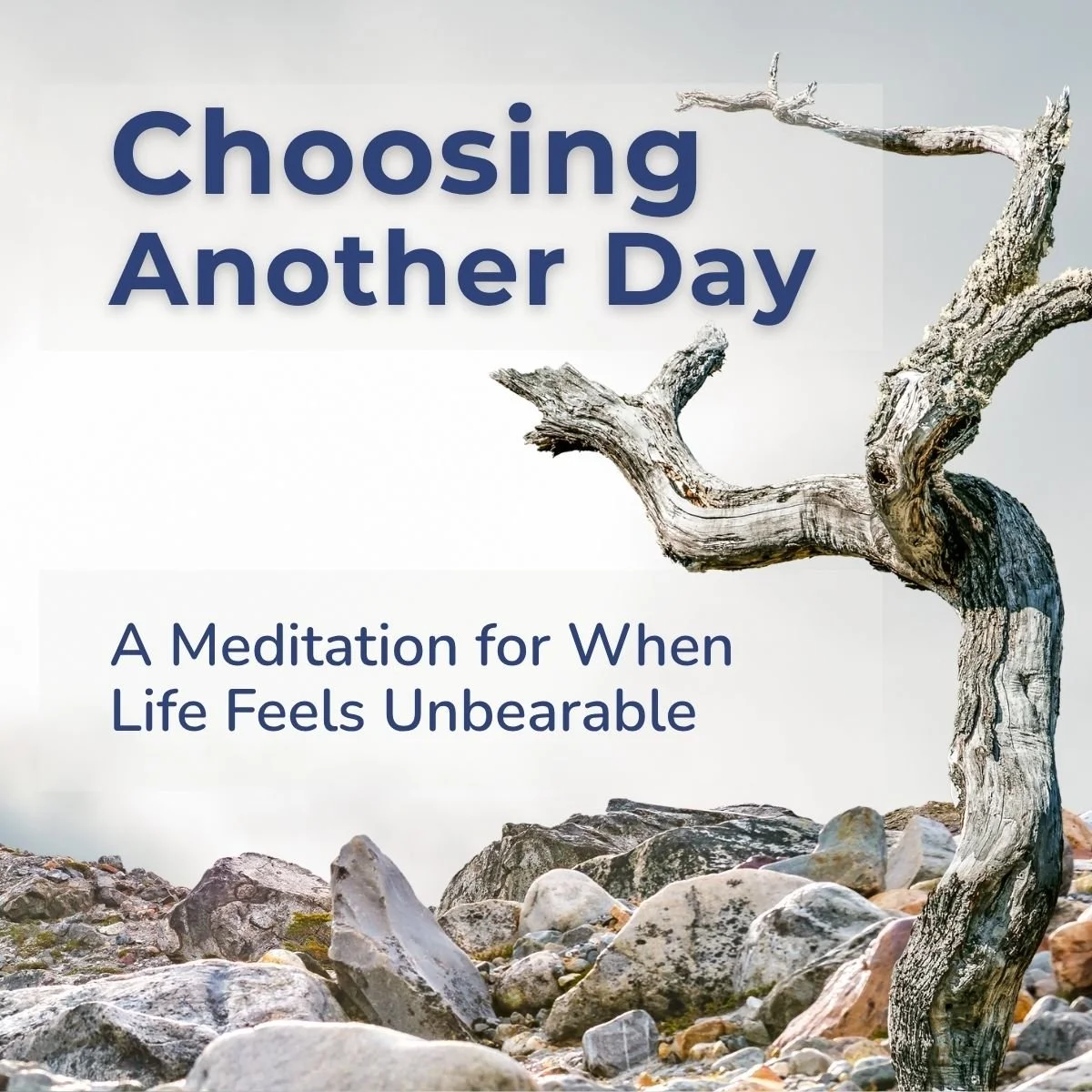 Choosing Another Day