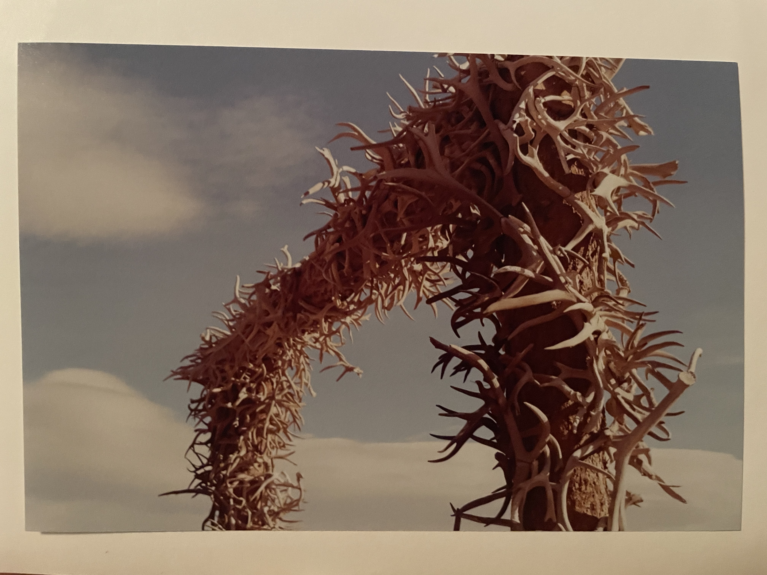 published in anti-heroin chic 2023