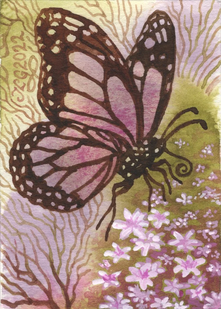 0229 A Friendly Visitor.jpg