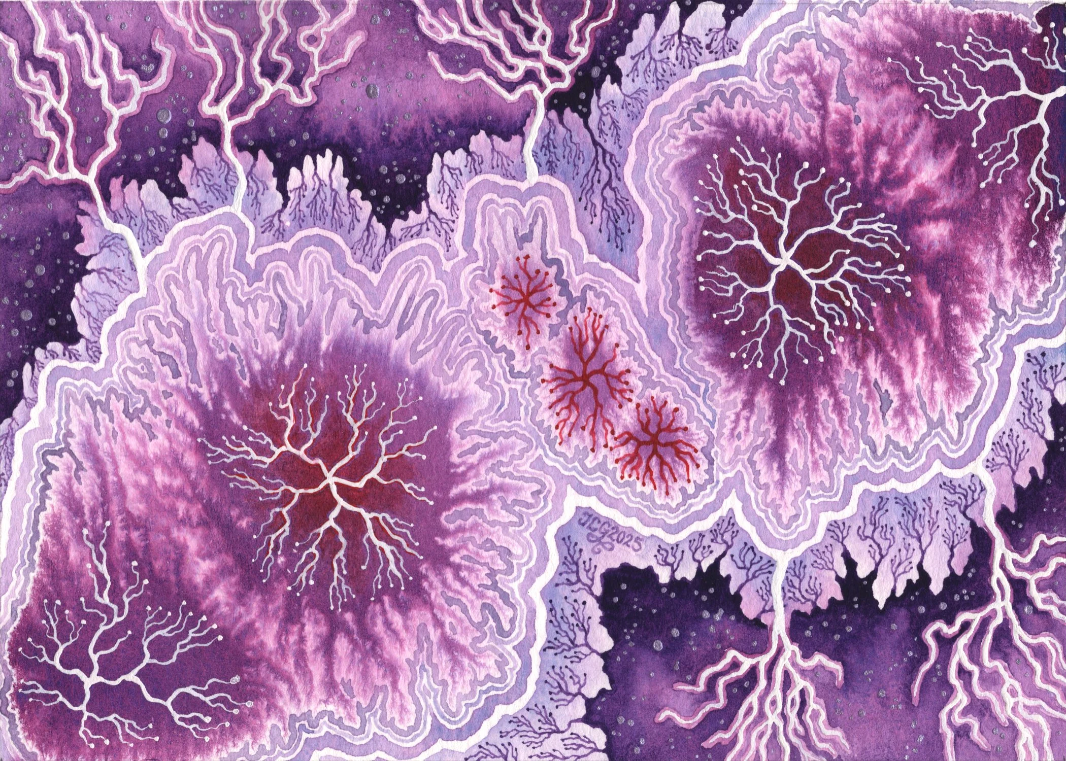 0308 Red Sprite Dendrite.jpg
