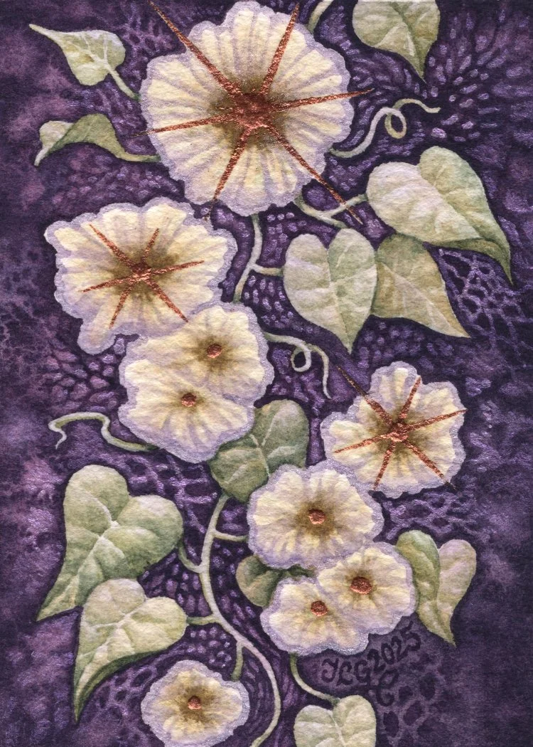 0329 Cosmic Morning Glory.jpg
