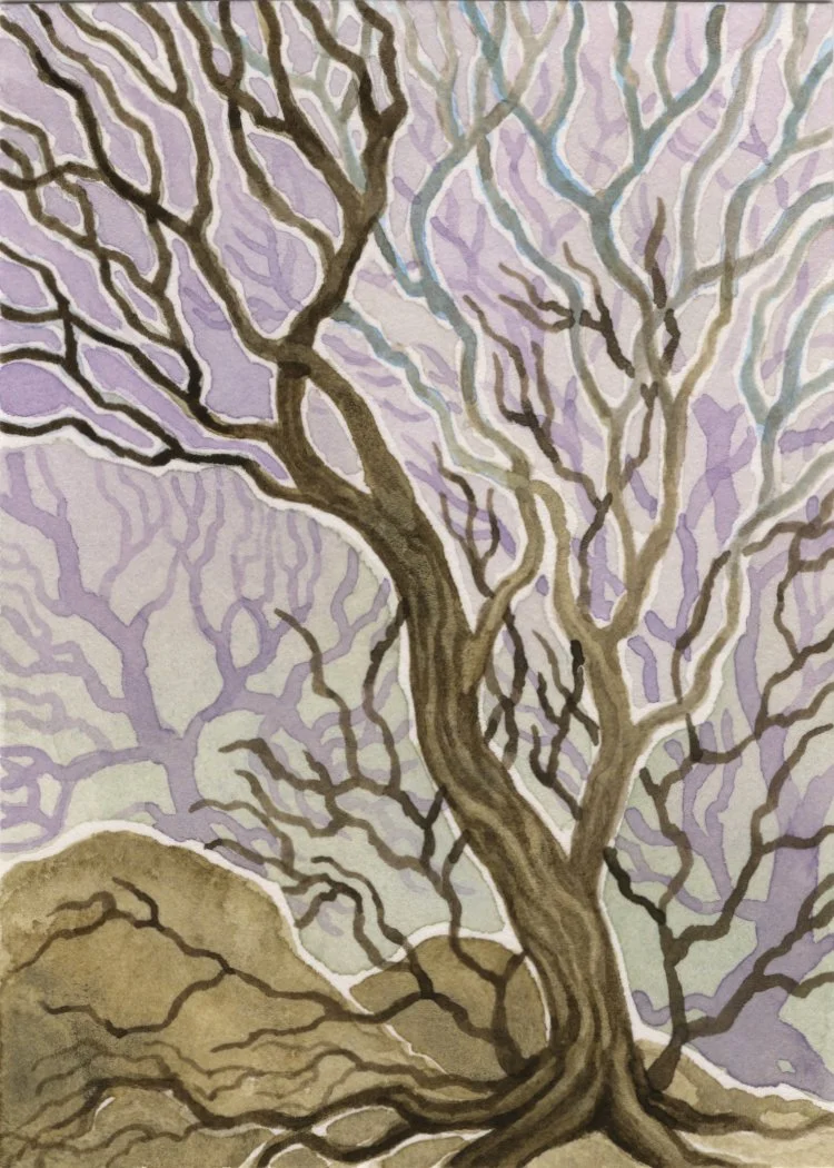 0279 PC049 Gentle Forest.jpg