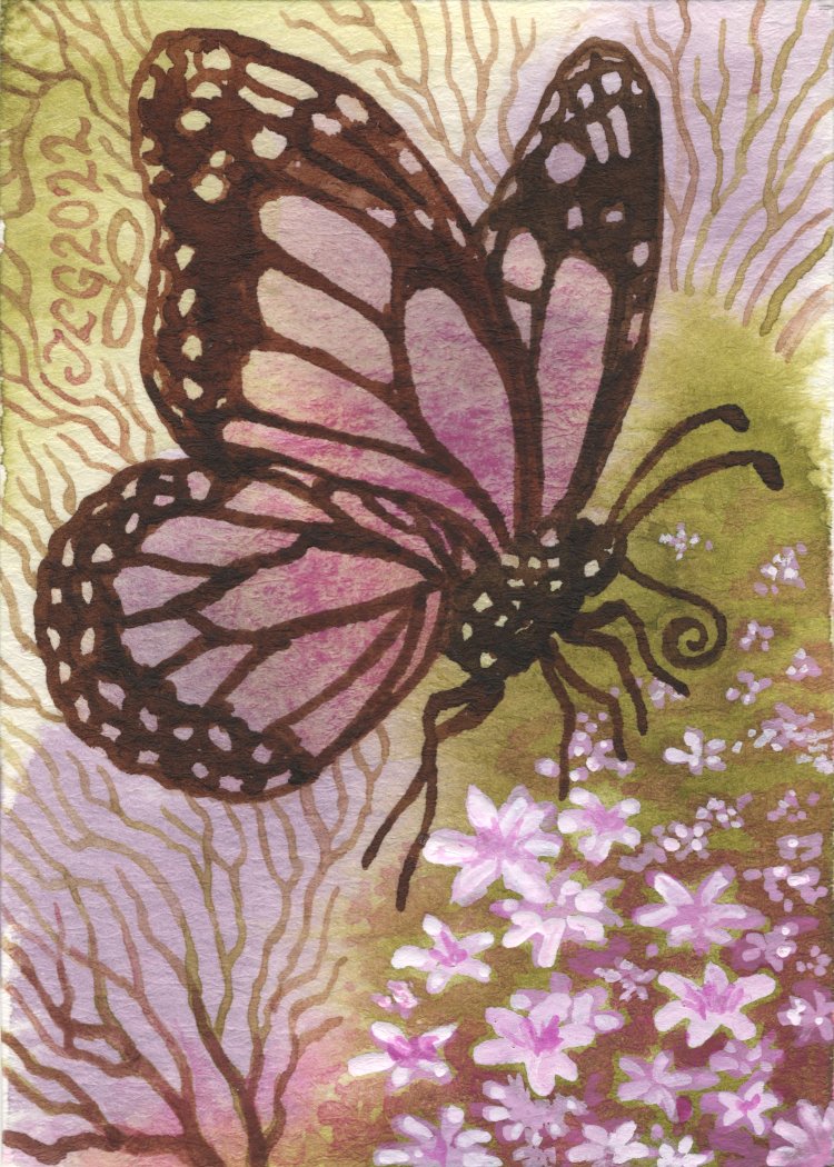 0229 A Friendly Visitor.jpg