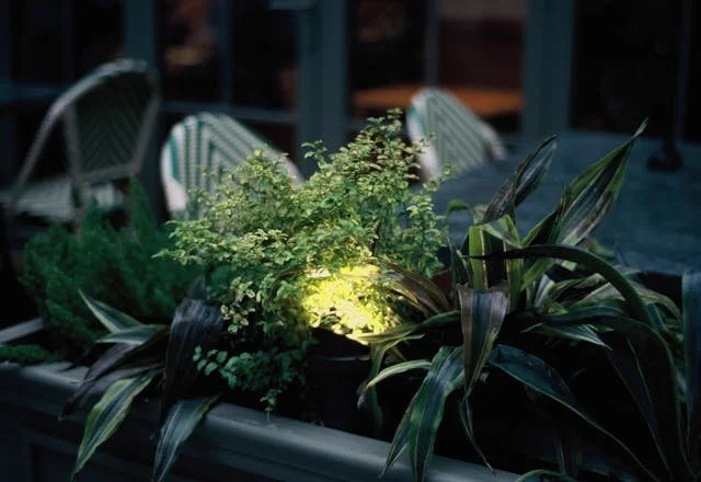 How To Integrate Landscape Lighting With Nature