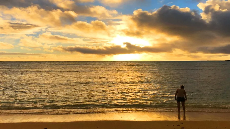 Join us for a special New Year's Wellness Workshop on Sunday, January 18 from 2-4 p.m. "Cultivating Inner Peace for the New Year &amp; Beyond: SoulCollage&reg; Workshop" with Dayl Workman will help you reconnect with your inner peace throug