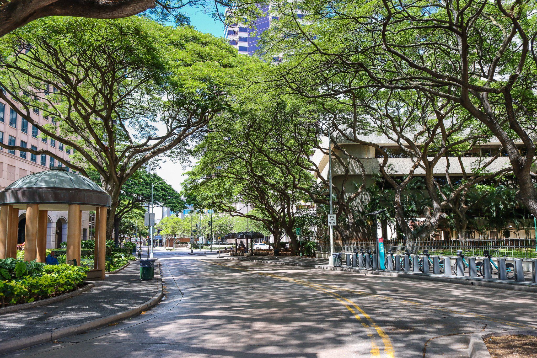 Step into the HEART of downtown Honolulu with our DAC Walking Tour: Art, History &amp; Architecture!

Join us for a guided walking tour exploring the rich artistic and historical heritage of the HEART district, led by historian Gary R. Coover, author