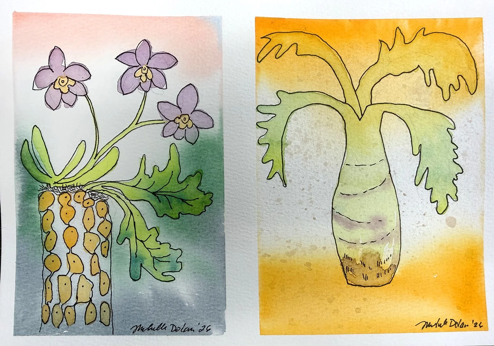BASIC WATERCOLOR &amp; SKETCHBOOK TECHNIQUES with Michelle Dolan - Botanicals/Postcards