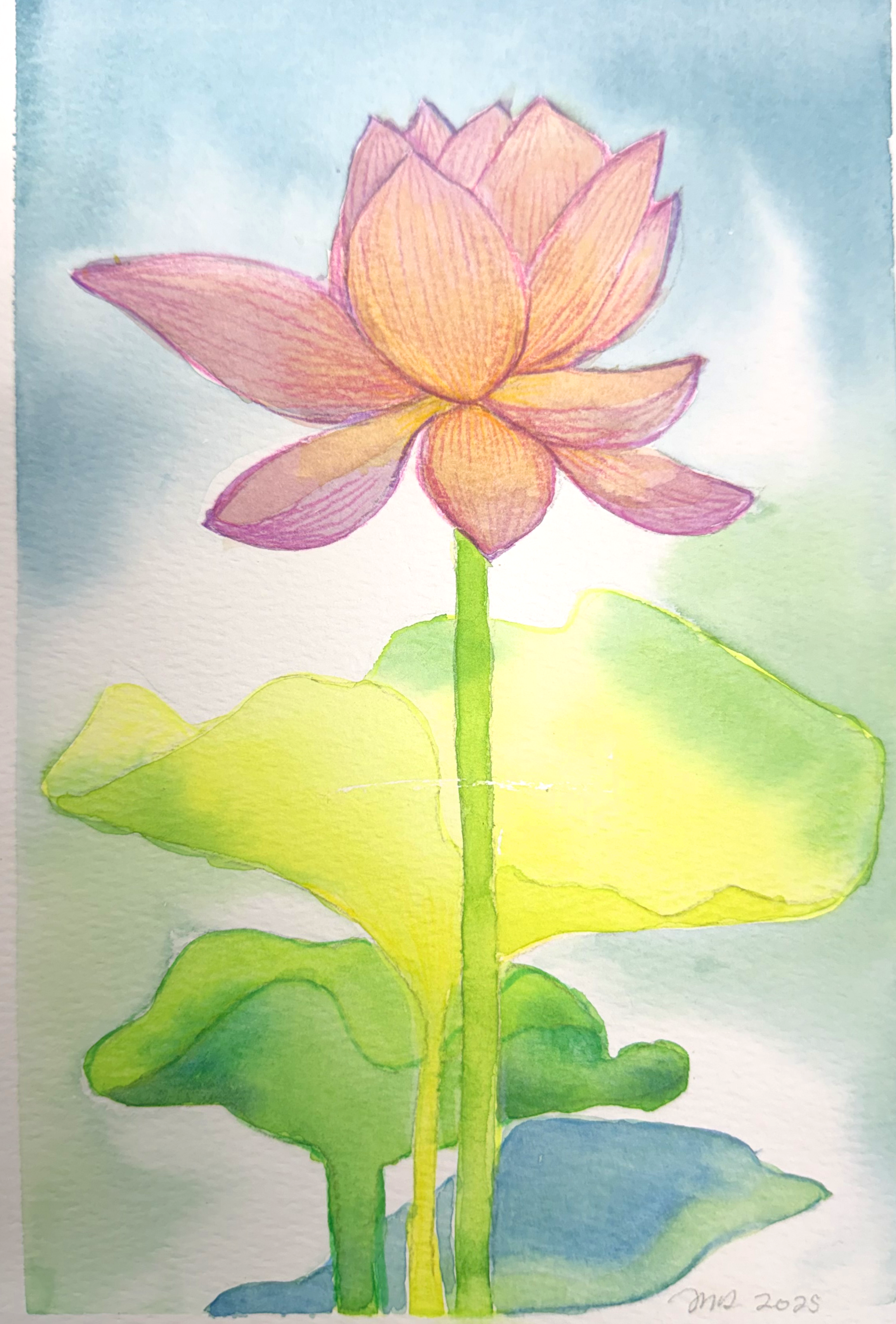 BASIC WATERCOLOR &amp; SKETCHBOOK TECHNIQUES with Michelle Dolan - Botanicals/Postcards