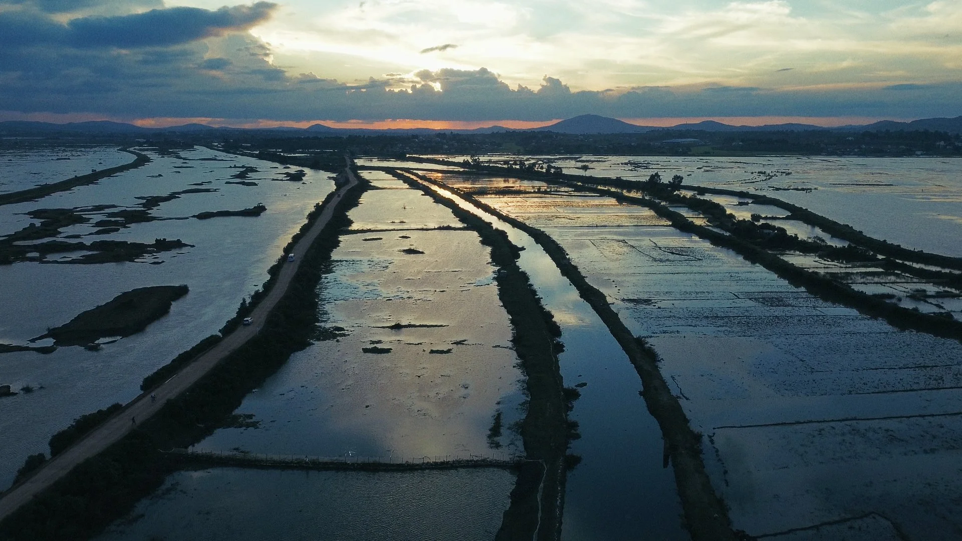 Day 01 Stringout_01_44_29_03.jpg