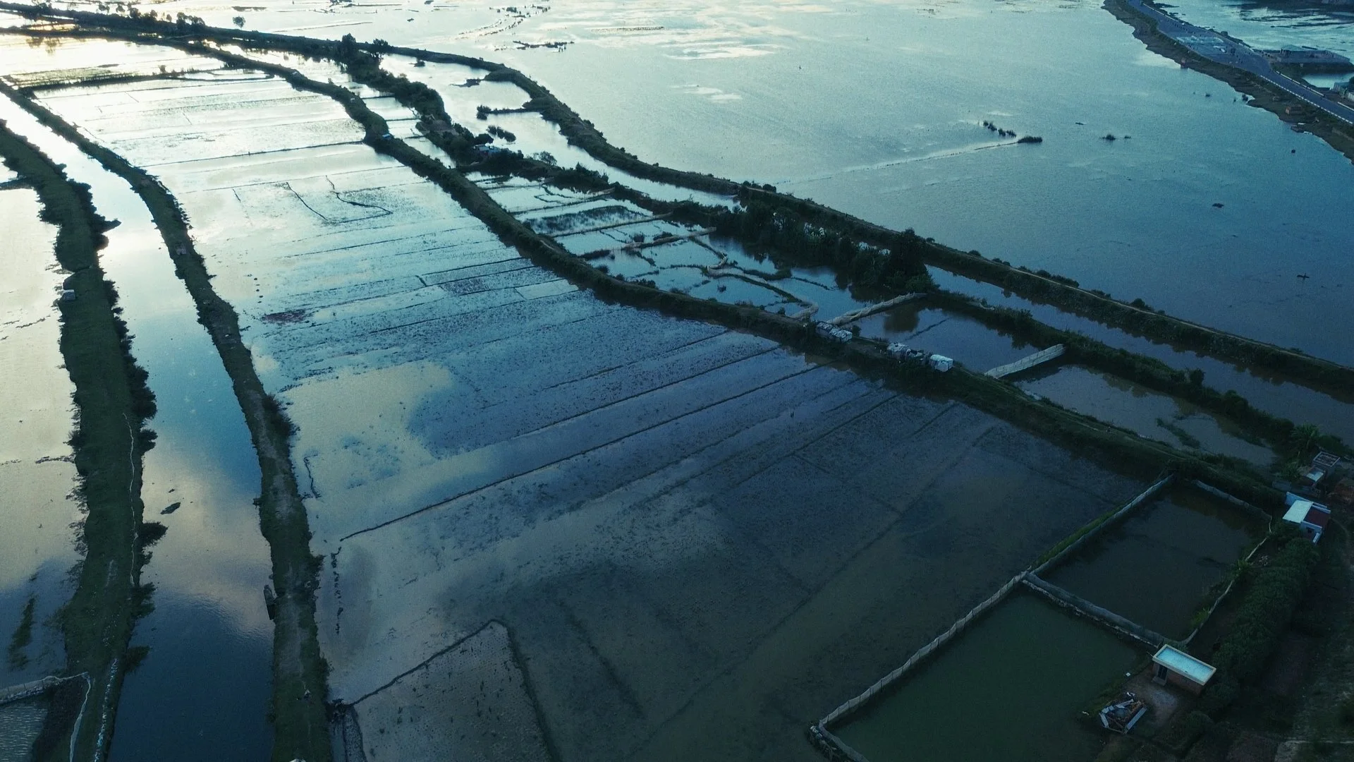 Day 01 Stringout_01_46_24_04.jpg