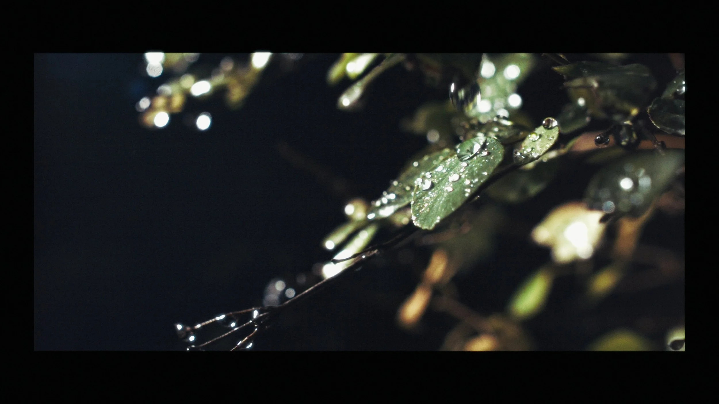 Slo Mo Stringout_00_55_46_08.jpg