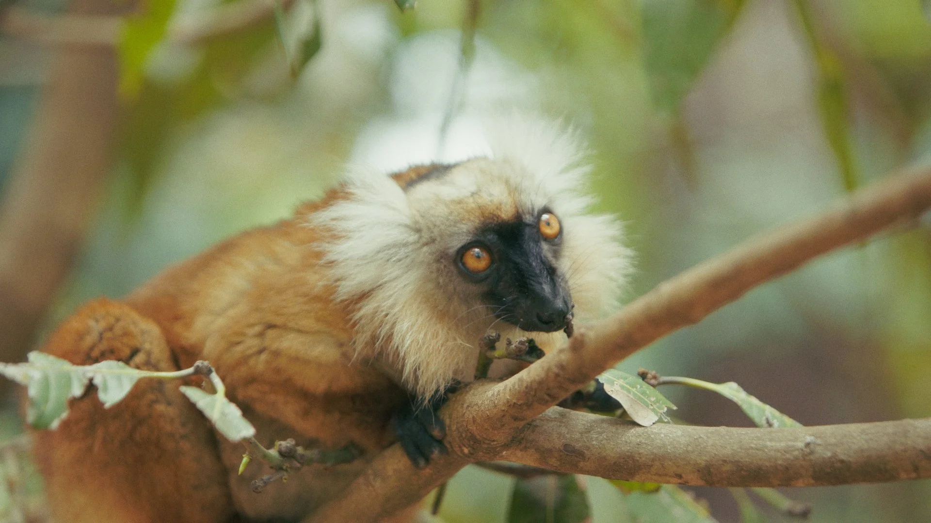 Day 01 Stringout_00_52_11_08.jpg