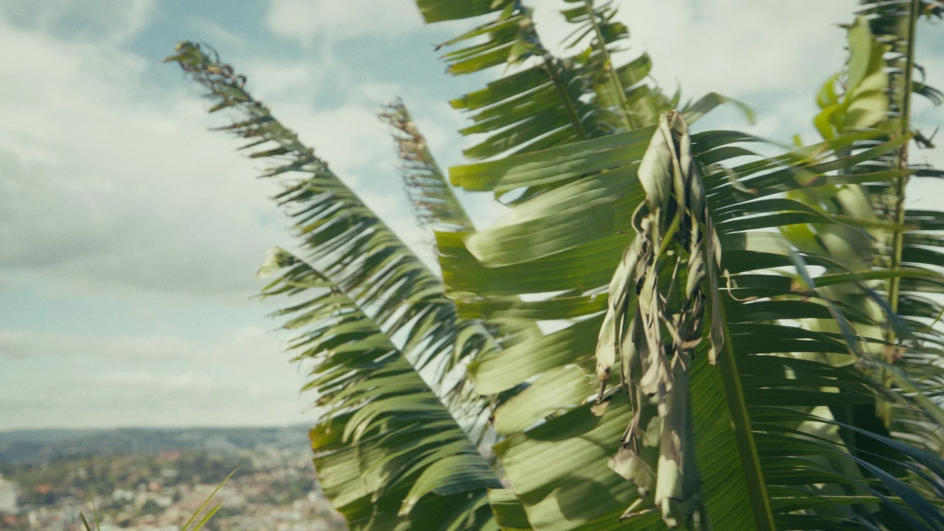 Day 03 Stringout_00_26_38_20.jpg