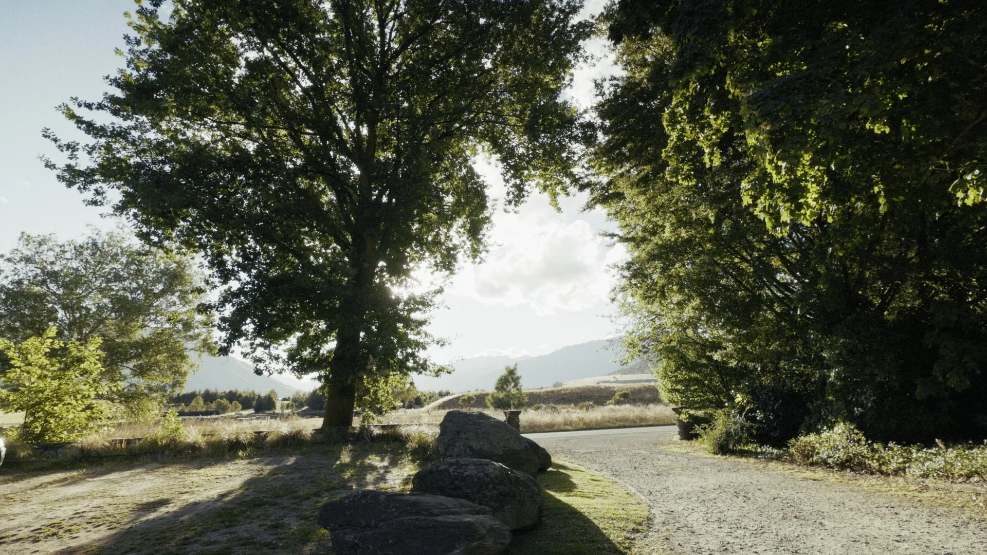 Timeline 3_00_09_13_16.jpg