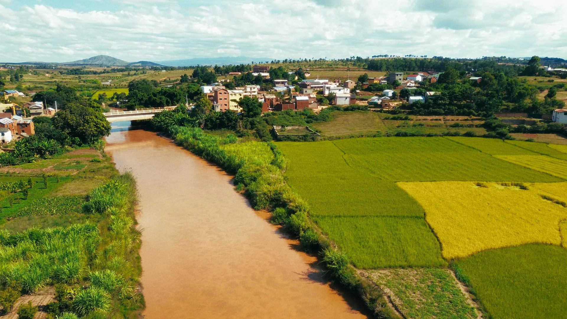 Day 01 Stringout_01_31_19_02.jpg