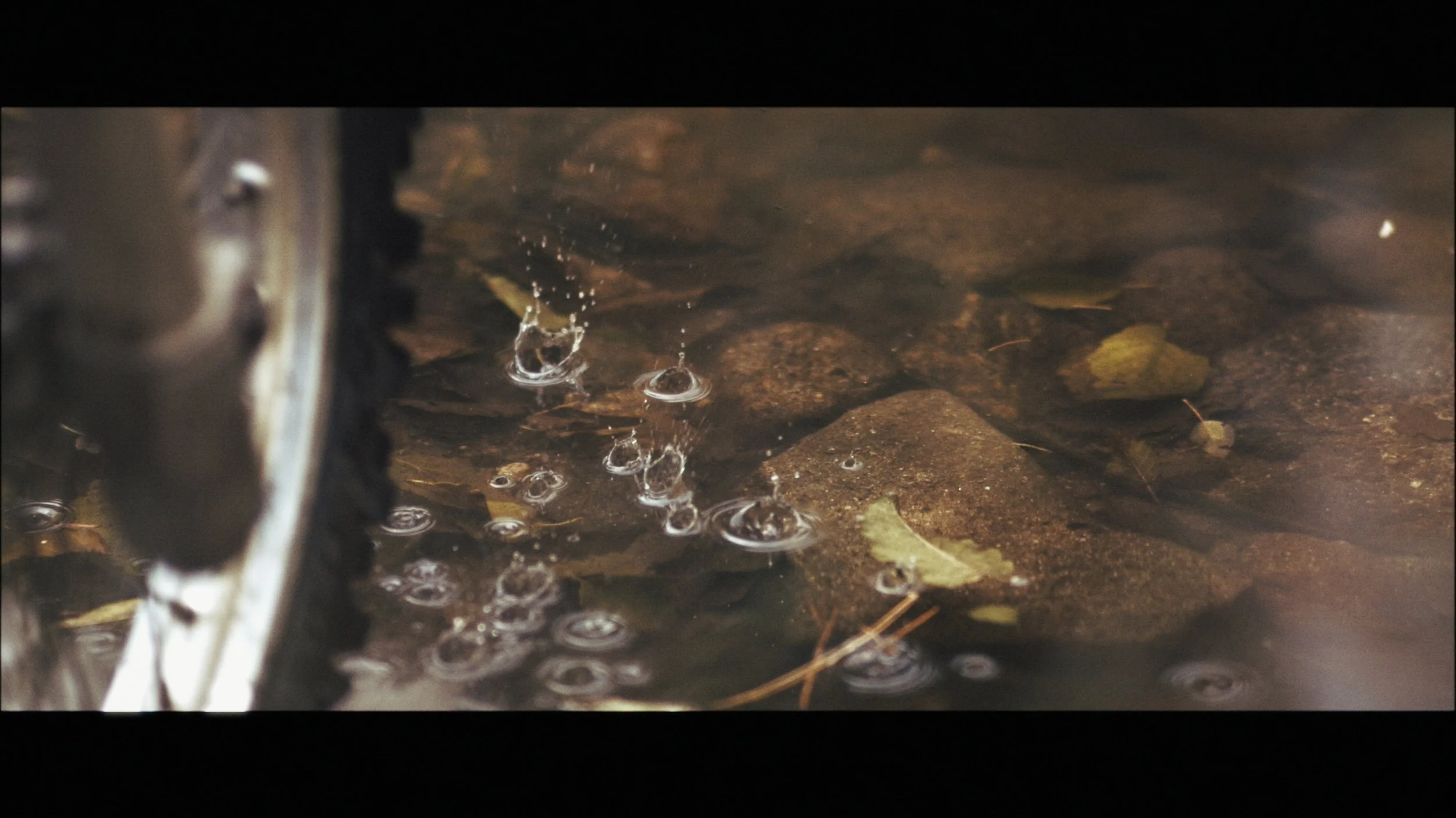 Slo Mo Stringout_00_06_08_12.jpg