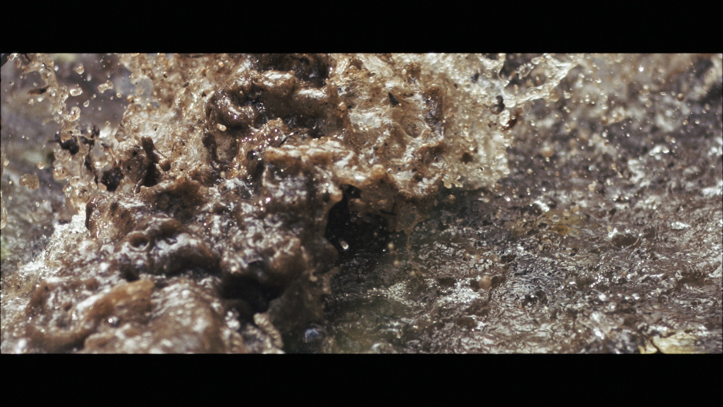 Slo Mo Stringout_00_06_20_12.jpg