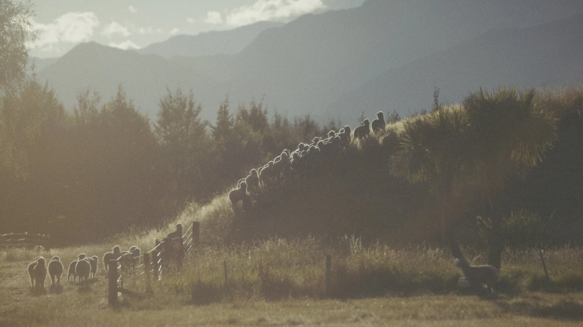 Timeline 3_00_12_25_23.jpg