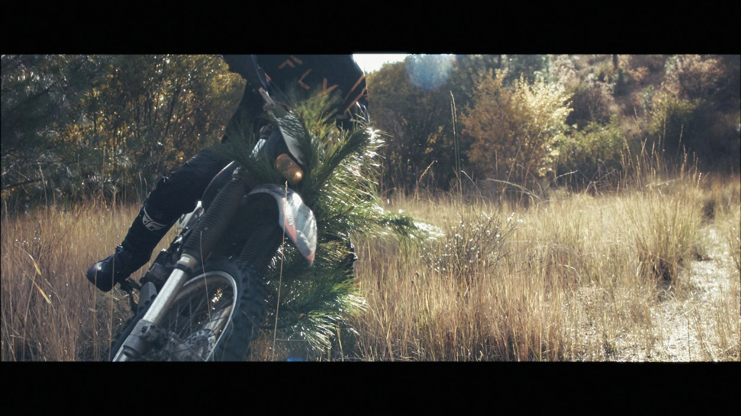 Slo Mo Stringout_00_18_46_08.jpg