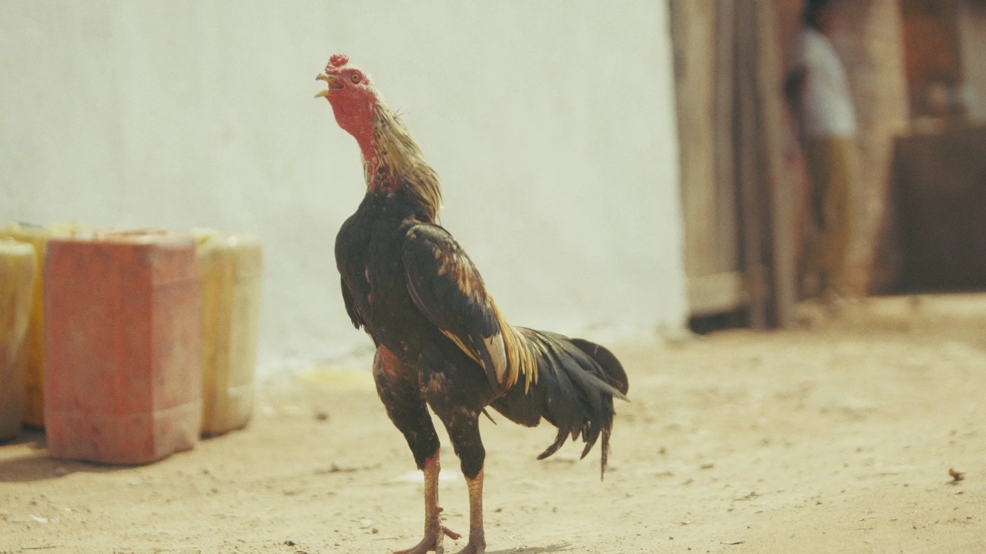 Day 01 Stringout_00_10_08_02.jpg