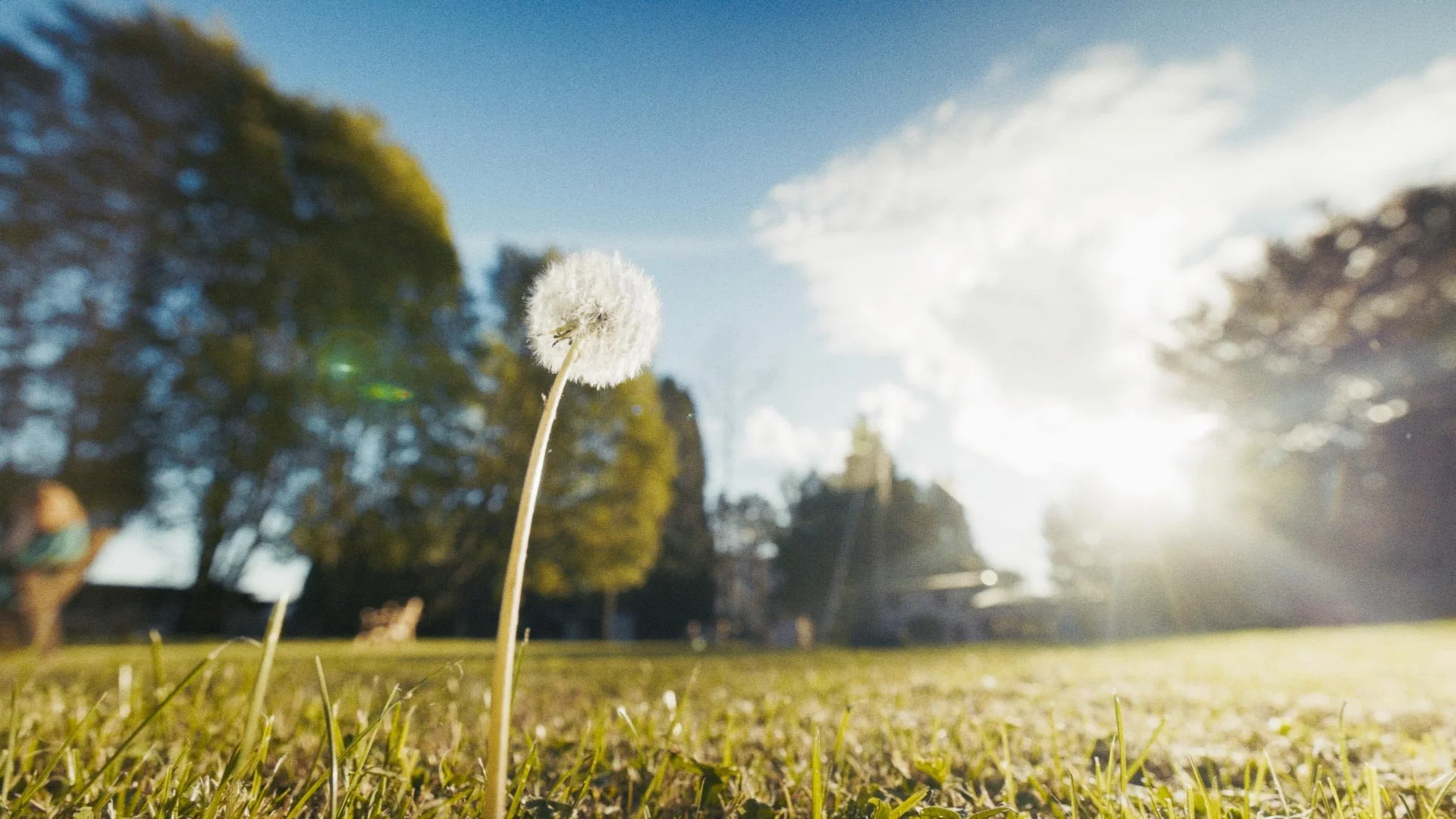 Timeline 3_00_08_13_00.jpg