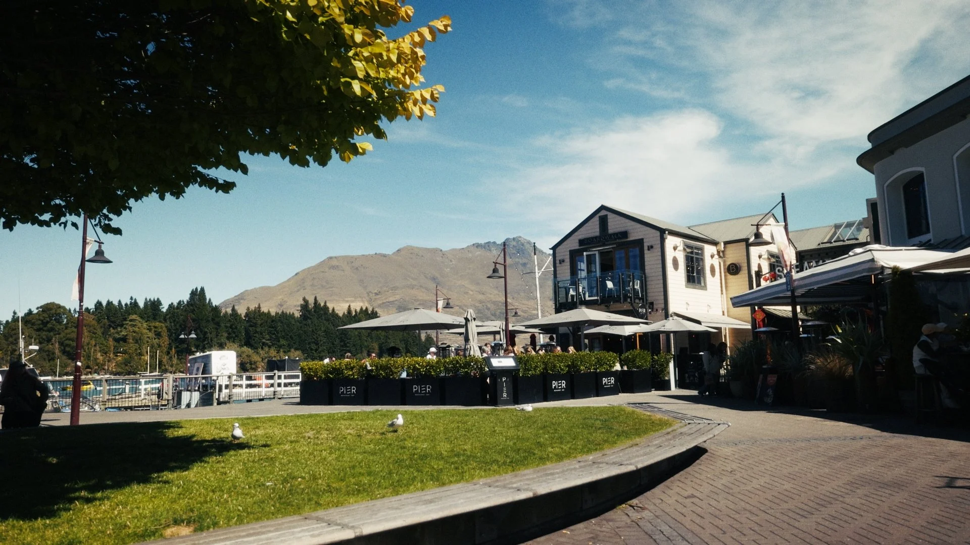 Timeline 3_00_34_08_22.jpg