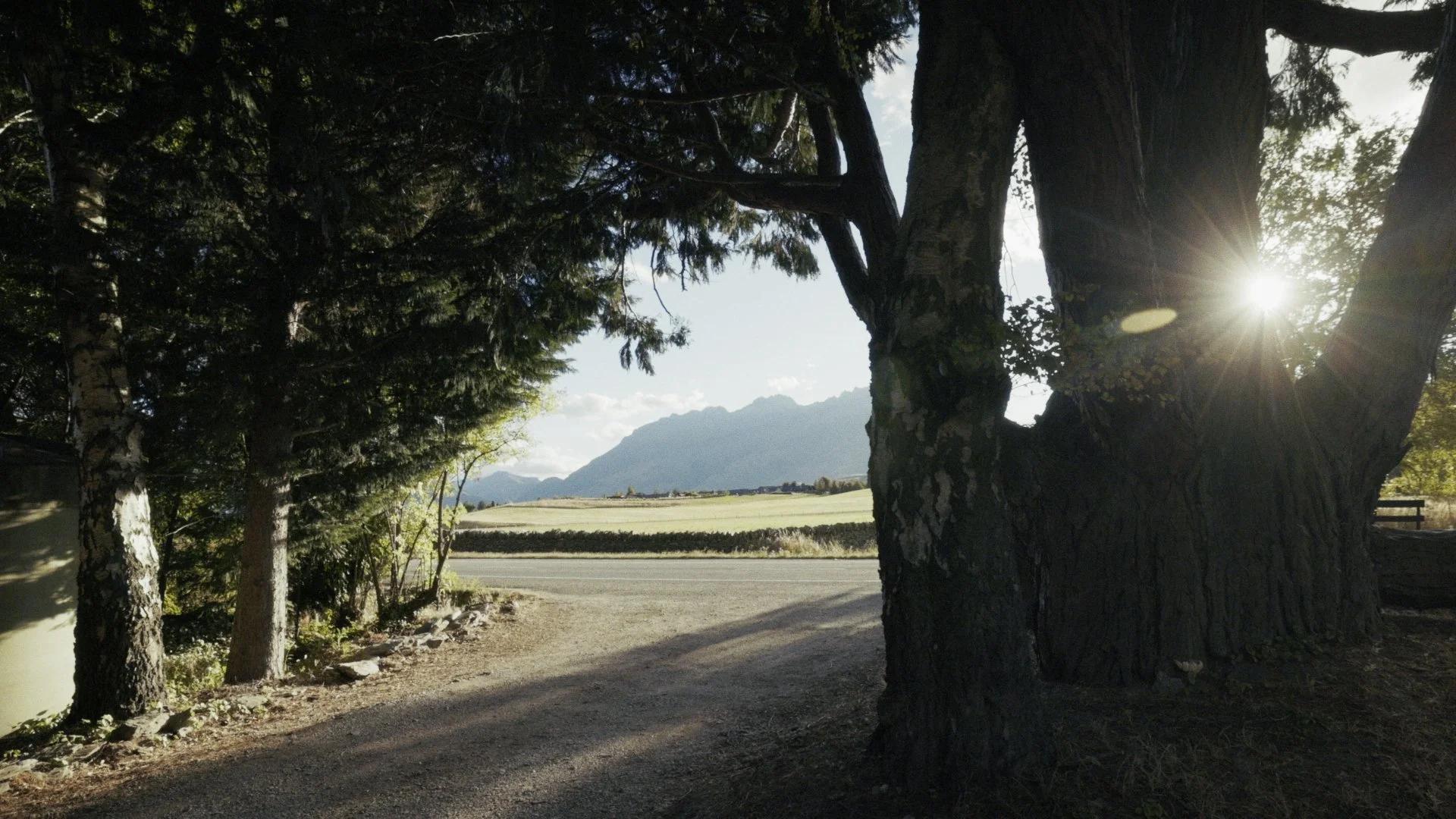 Timeline 3_00_09_46_04.jpg