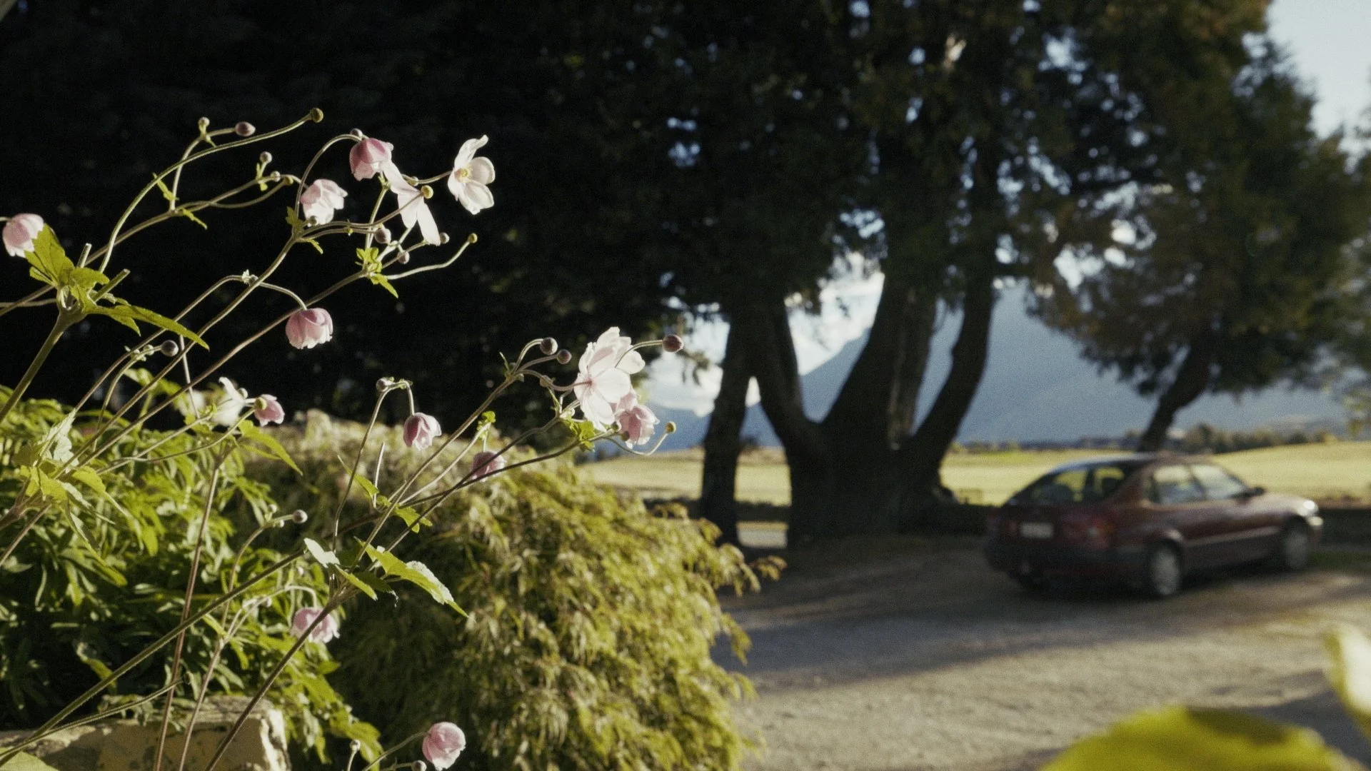 Timeline 3_00_10_41_05.jpg