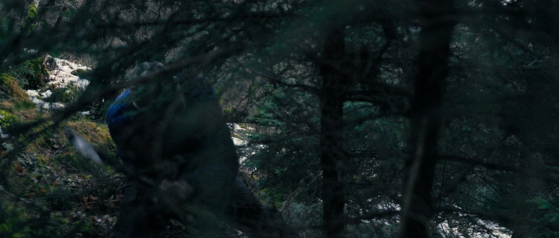 Hedda's House_00_10_49_03.jpg