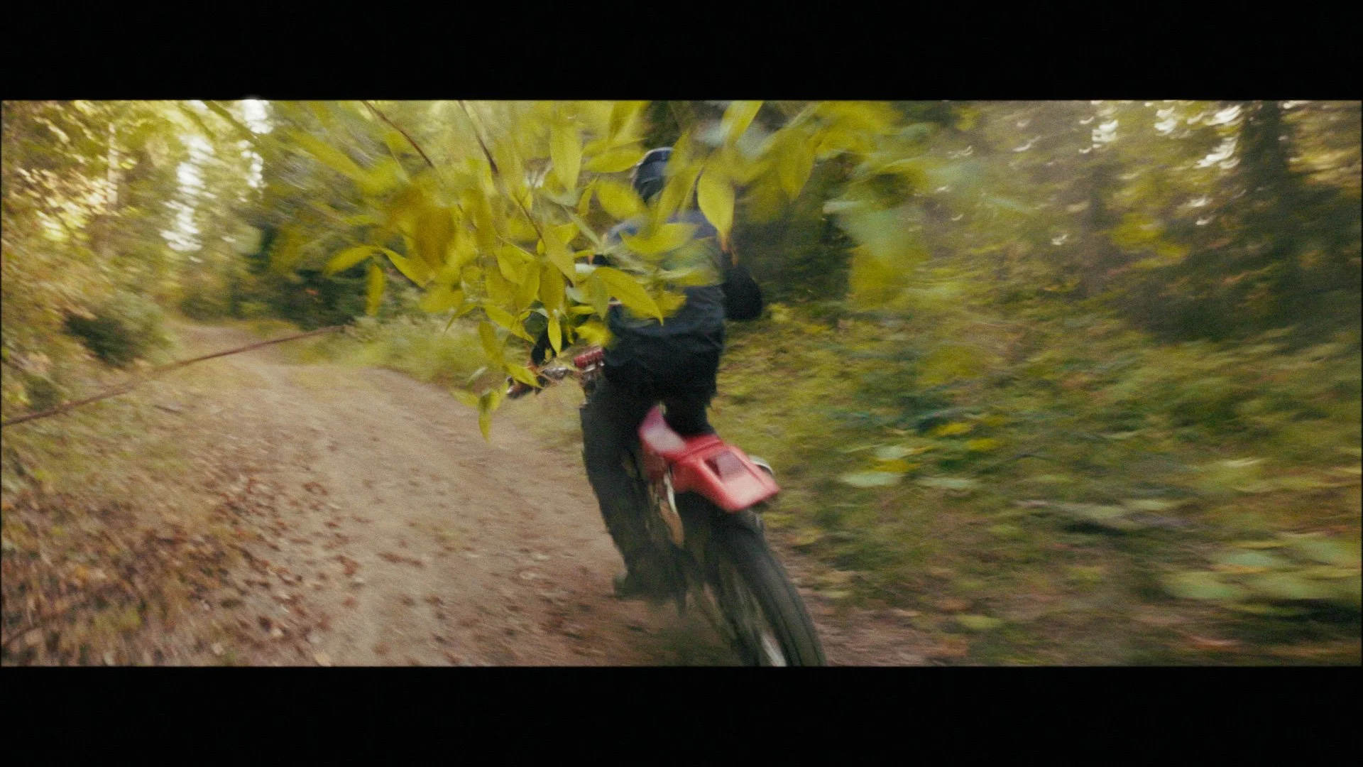 Andrew Stringout_00_17_28_02.jpg