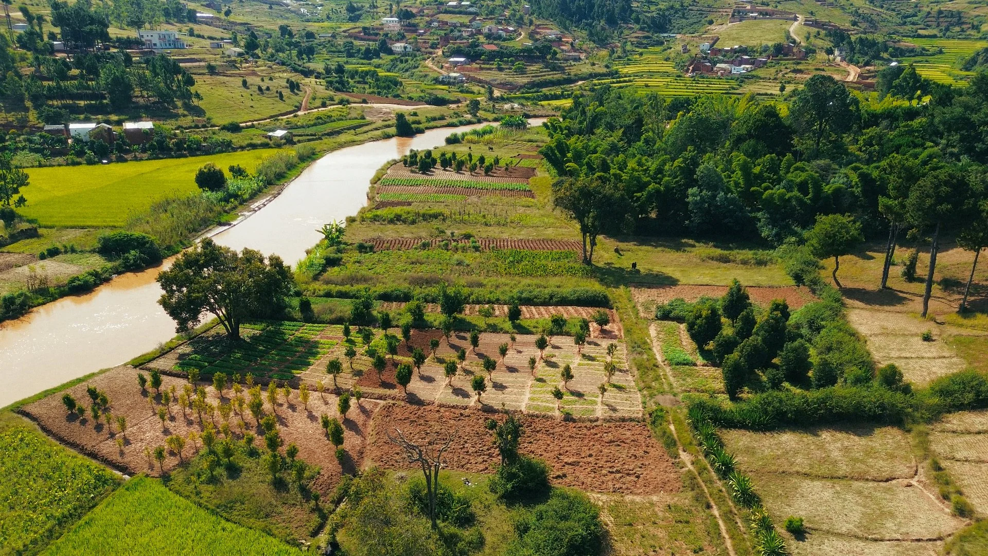 Day 01 Stringout_01_30_46_18.jpg