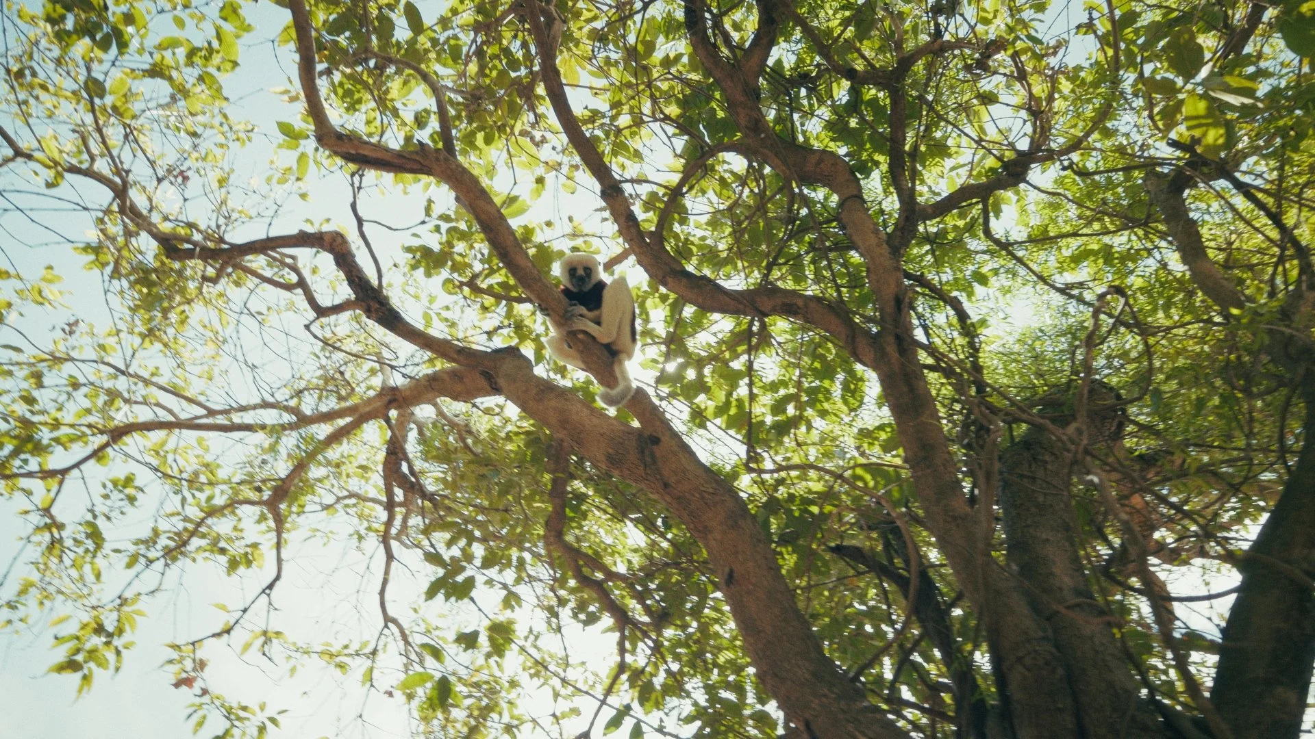 Day 01 Stringout_00_58_12_01.jpg