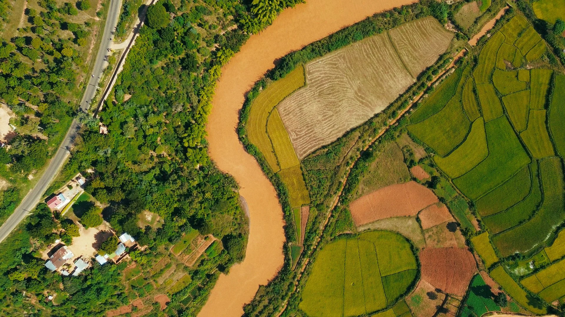 Day 01 Stringout_01_29_02_10.jpg