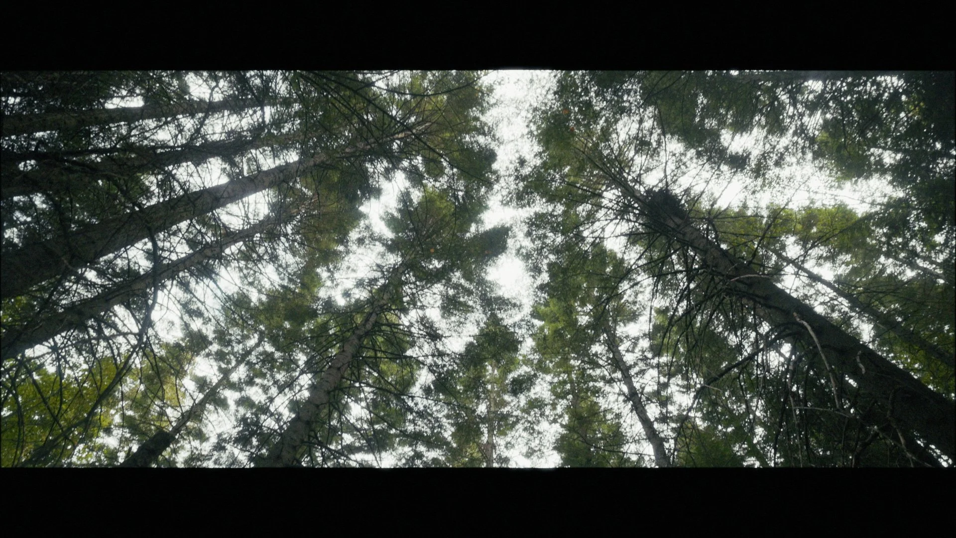 Andrew Stringout_00_13_58_16.jpg