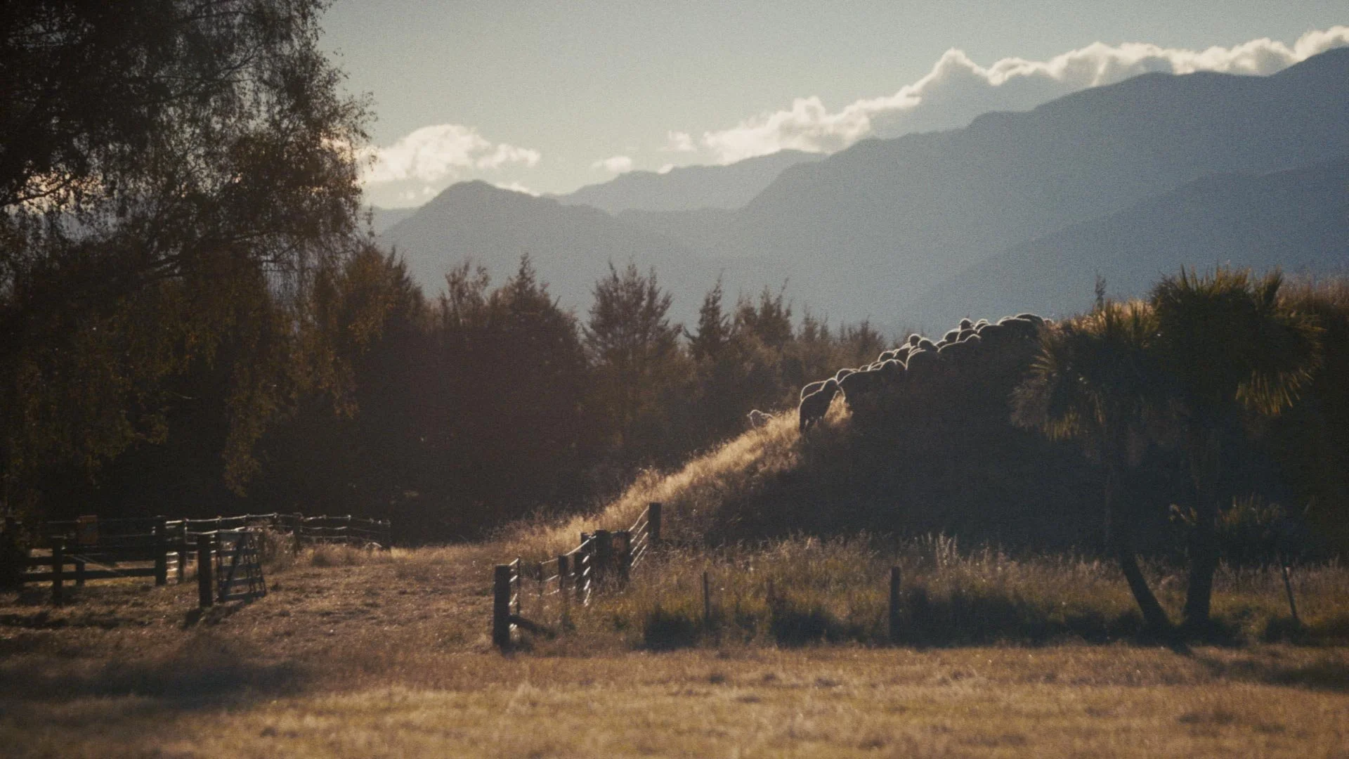 Timeline 3_00_12_44_11.jpg