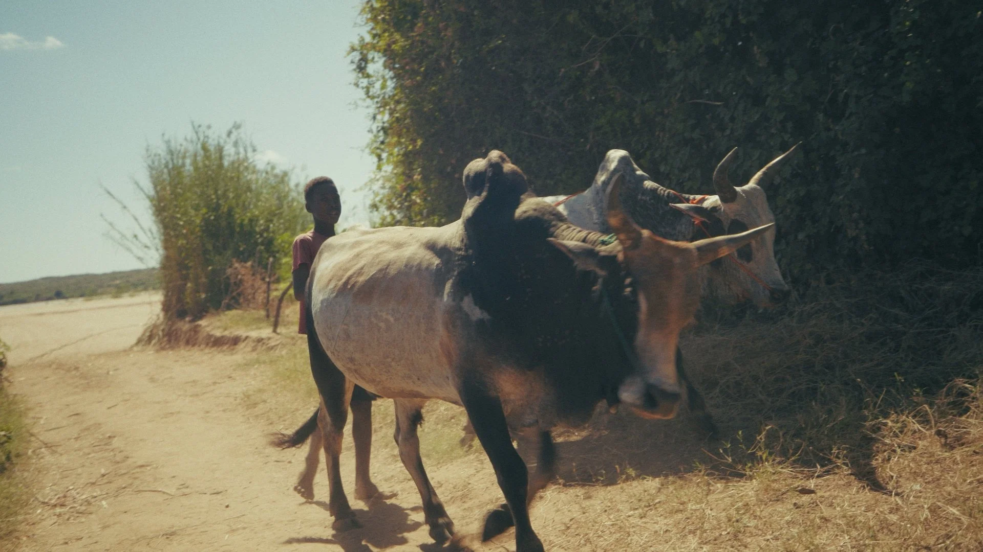 Day 02 Stringout_00_25_34_14.jpg