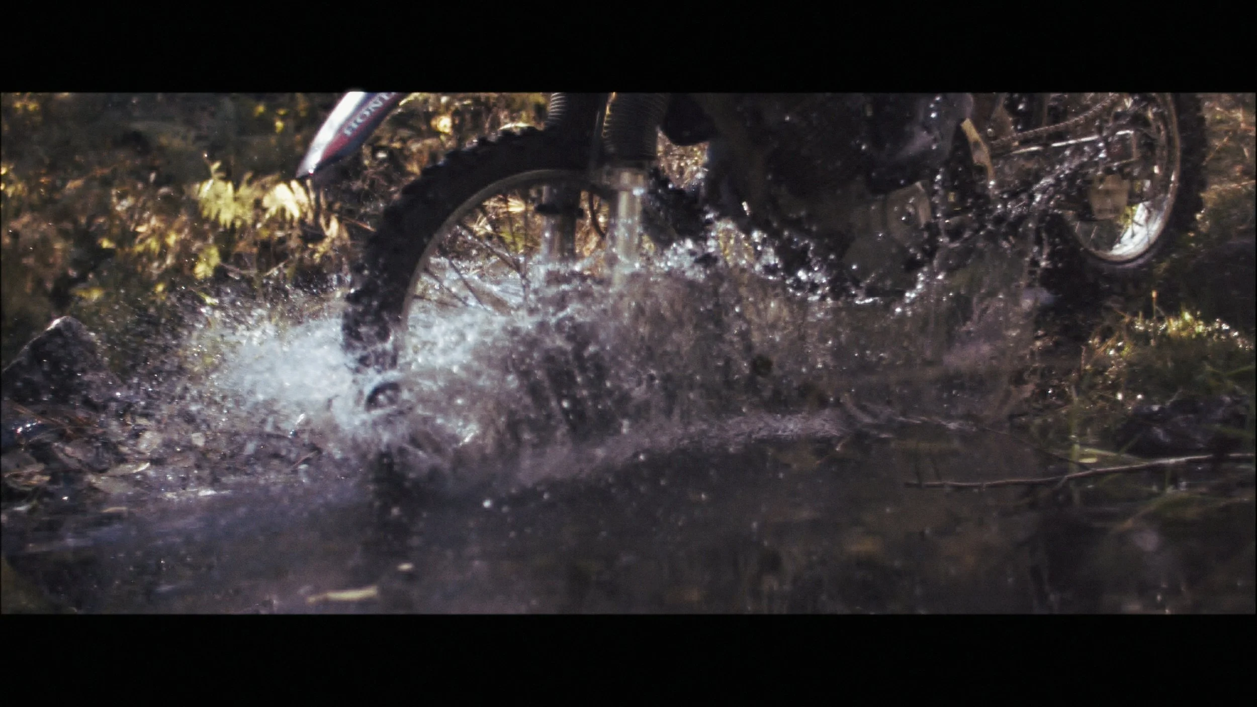 Slo Mo Stringout_00_03_18_20.jpg