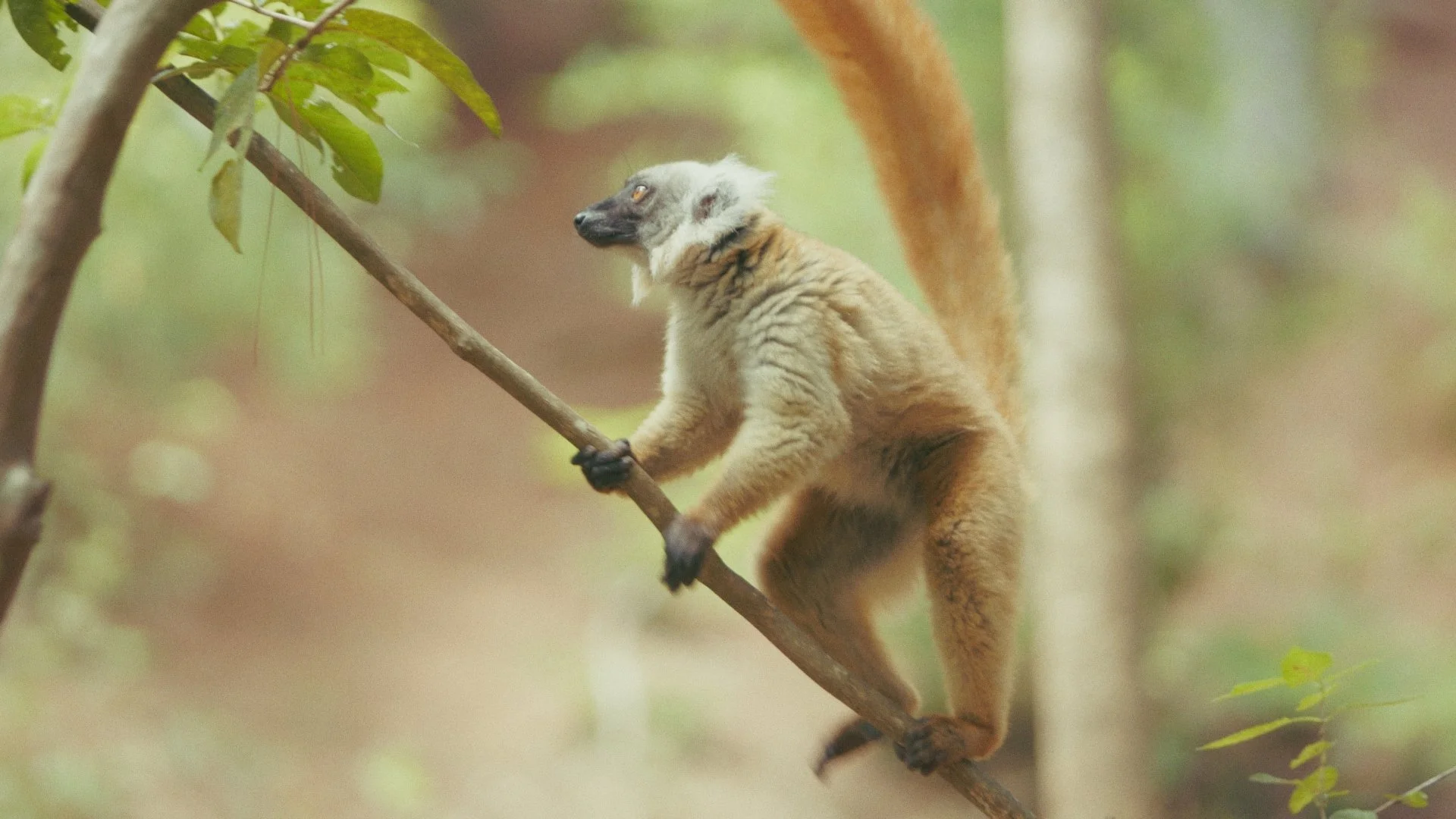 Day 01 Stringout_00_51_00_23.jpg