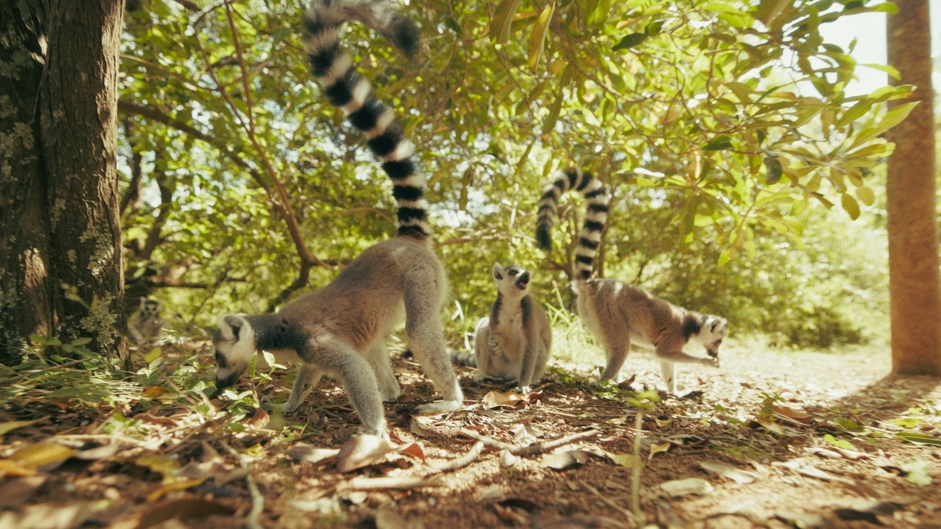 Day 01 Stringout_01_04_30_13.jpg