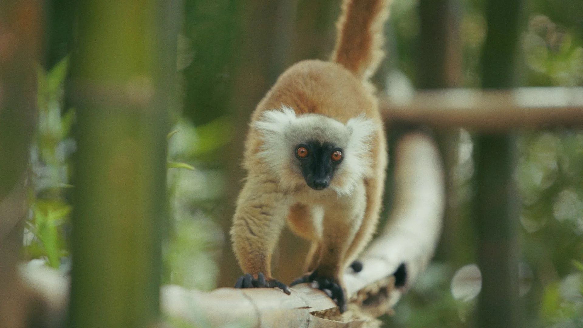 Day 01 Stringout_00_50_57_10.jpg