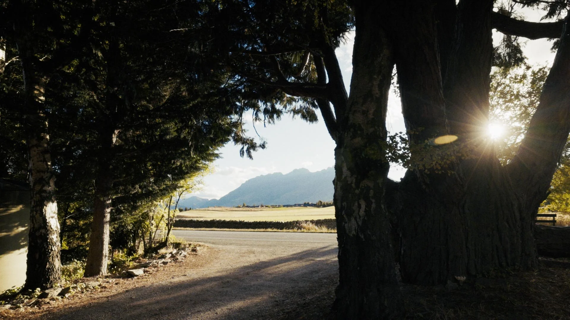 Timeline 3_00_09_34_10.jpg